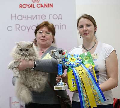   '--' 11-12  2015 5-82-169A4820 copy.jpg